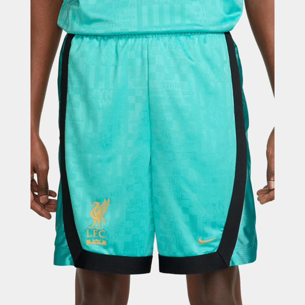 Изображение ШОРТЫ LJ LFC M NK DF DNA 8IN SHORT