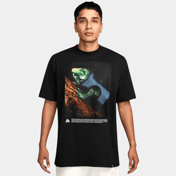 Изображение ФУТБОЛКА M ACG DF TEE OC IGUANA VEST
