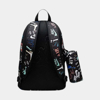 Изображение РЮКЗАК JAN AIR SCHOOL BACKPACK